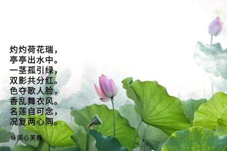 关于花的诗歌