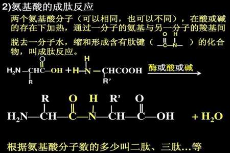 哪些基元反应反应级数和反应分子数不一样