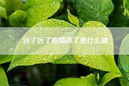 感情淡了怎么发消息给对方说清楚