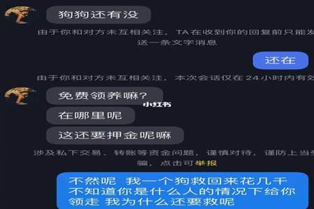 明明白白不明白什么意思