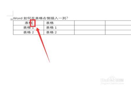 怎么在同一列表格中插入同一字母