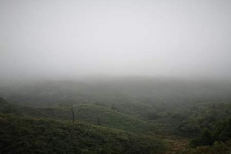 雾锁山头山锁雾，天连水尾水连天是什么意思