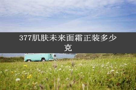 377肌肤未来面霜正装多少克