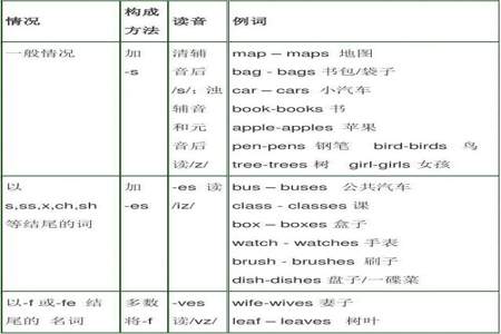 六年级单词复数形式变形规律总结