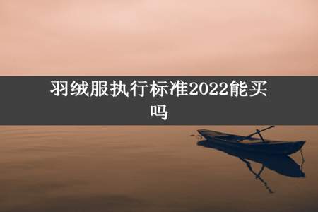 羽绒服执行标准2022能买吗